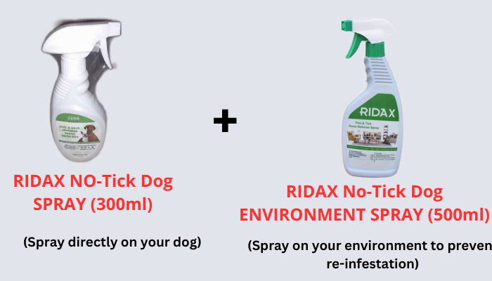 dog ticks and flea treatment