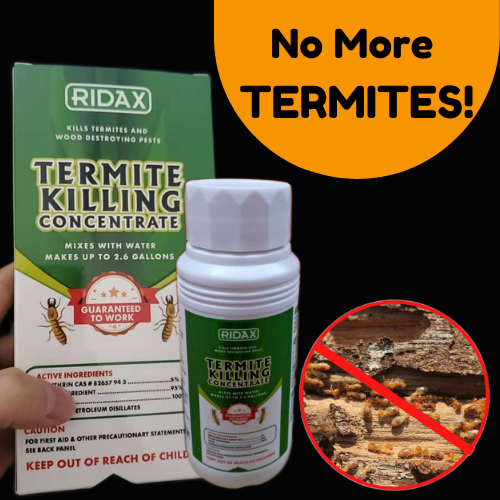 Get rid of termite Nigeria