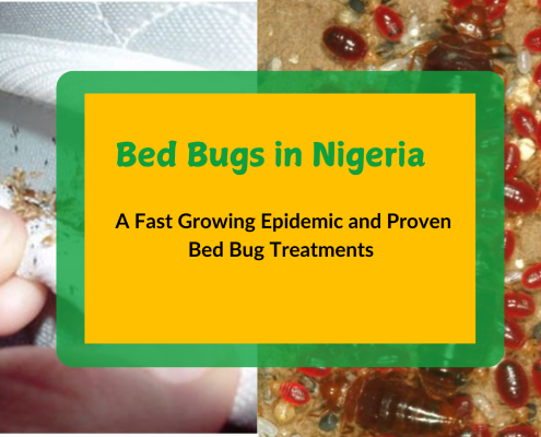 get rid of bed bugs in Nigeria with Ridax